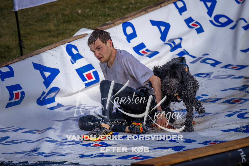 _ZZ945280717 | kk-dogfotos