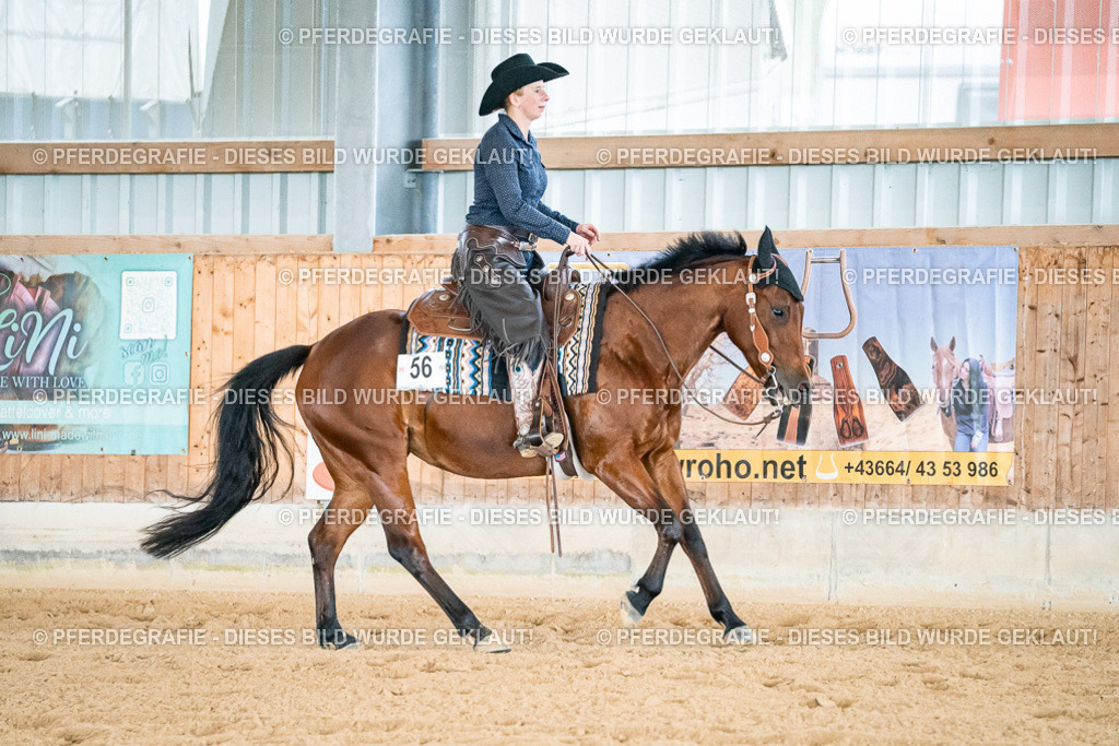 DSC00032 | Pferdegrafie