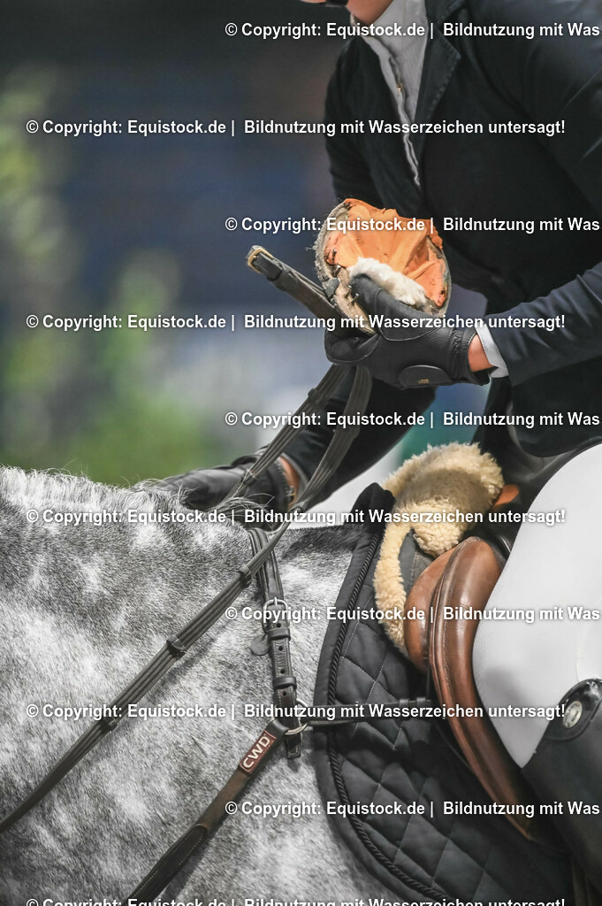 20231116_PREIS DER BARDUSCH GMBH_0175_TOMsPiC | Foto: Thomas Hartig