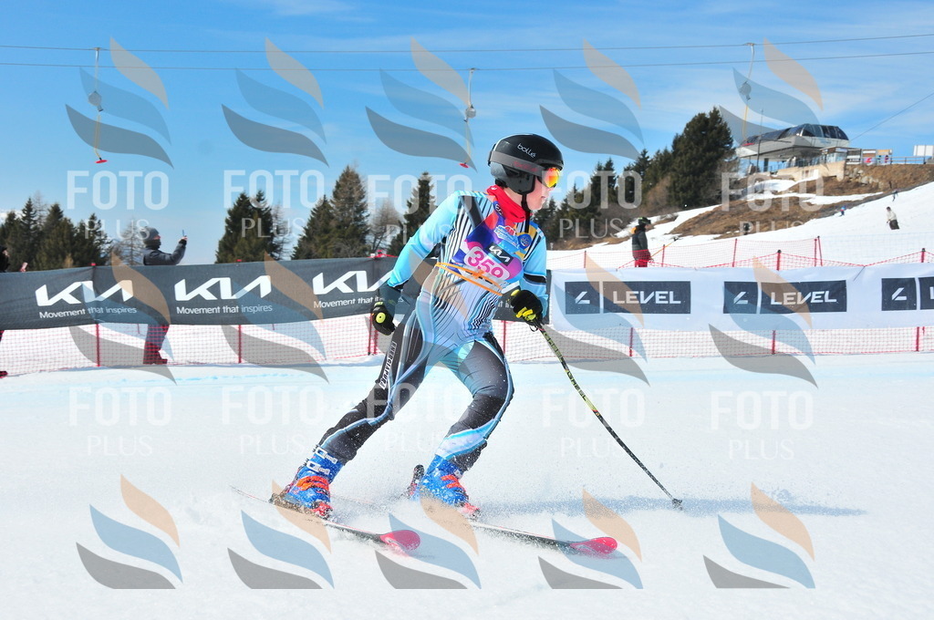 DSC_7029 | holidayphoto