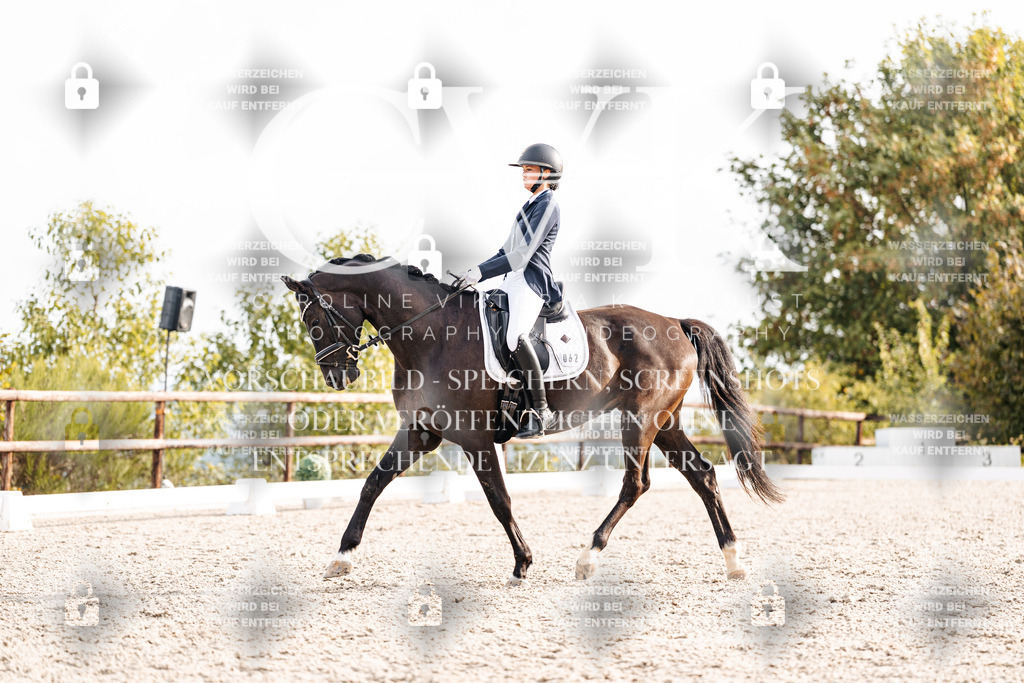 CK901083 | Turnierfotografie Pferdefotografie Trier Rheinland-Pfalz Pferdesport Reitsport Tierfotografie Sportfotografie Pferdevideo Pferdevideografie Equestrianvideography equestrianphotography  - Realisiert mit Pictrs.com