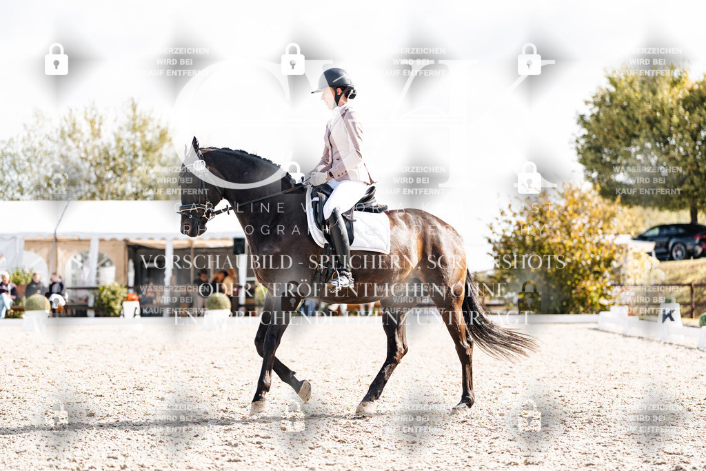 CK901958 | Turnierfotografie Pferdefotografie Trier Rheinland-Pfalz Pferdesport Reitsport Tierfotografie Sportfotografie Pferdevideo Pferdevideografie Equestrianvideography equestrianphotography  - Realisiert mit Pictrs.com