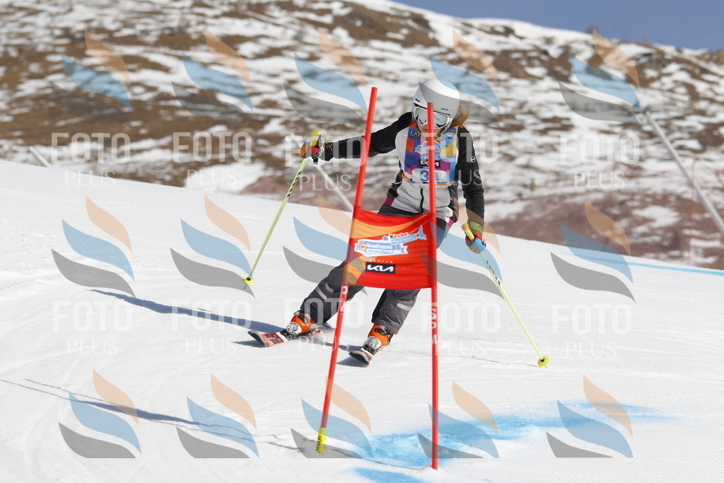 _U3G9115 | holidayphoto