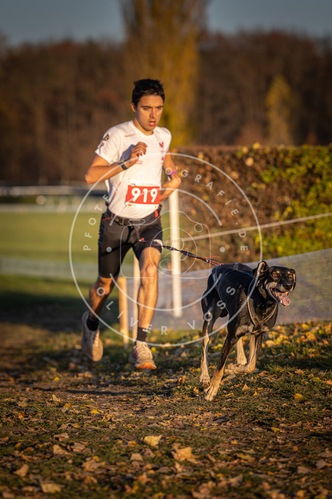 CaniXpix_DV3A4906 | Hundefotografie, Tierfotograf, Pfotenfotografie, Fotoshooting Hund, Hunde Portrait, Hundesport, Hundeportraits, Heideshooting, Hunde, Sportfotograf, Hundefotograf, Turnierhundsport, THS,  - Realisiert mit Pictrs.com