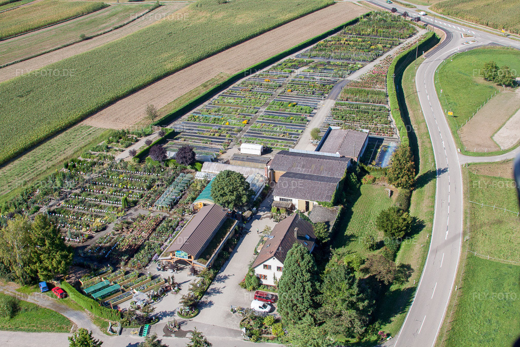 Luftbild: Gartenzeiten Schwarz im Ortsteil Bodersweier in Kehl im Bundesland Baden-Württemberg in Deutschland. – Foto: IMG_20646.jpg vom 31.08.2009 durch Werner Riehm/FLY-FOTO.de – Auflösung des Originals: 4752 x 3168 px – Gartenzeiten Schwarz