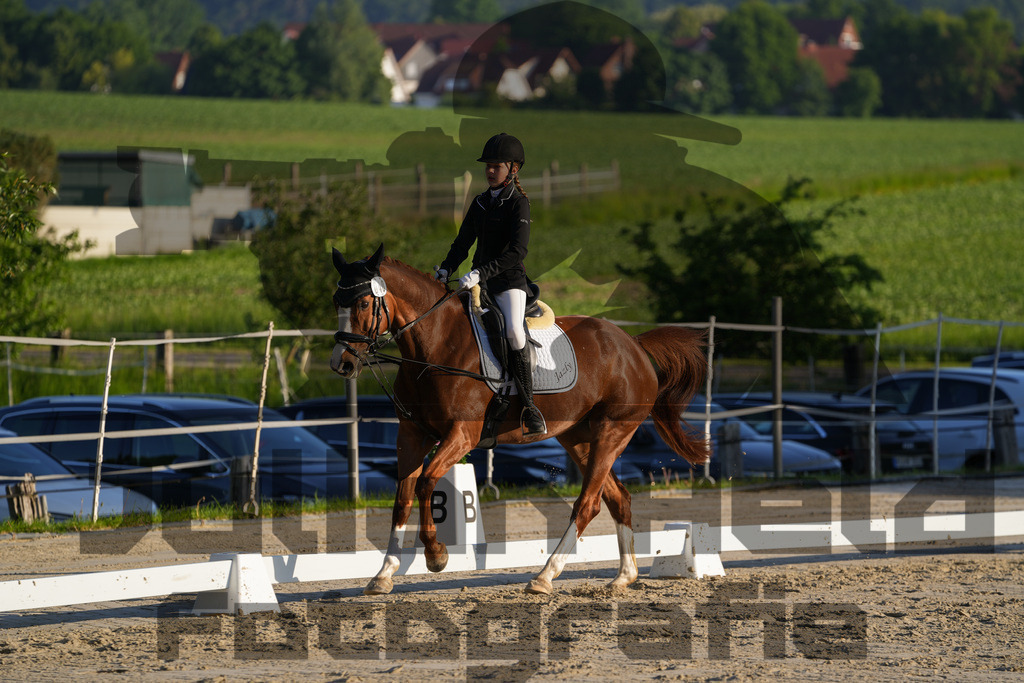 DSC02606 | Julian Held Fotografie - Realisiert mit Pictrs.com