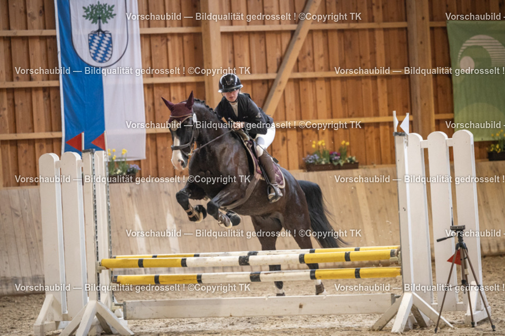 _D5A0271 | Emotionale Pferde- & People-Fotografie rund um Heidelberg, Leimen & Umgebung. Natürliche Fotos von Pferd, Mensch & Familie. Jetzt Termin sichern!