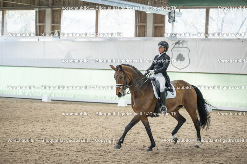 _D5A6338 | Emotionale Pferde- & People-Fotografie rund um Heidelberg, Leimen & Umgebung. Natürliche Fotos von Pferd, Mensch & Familie. Jetzt Termin sichern!