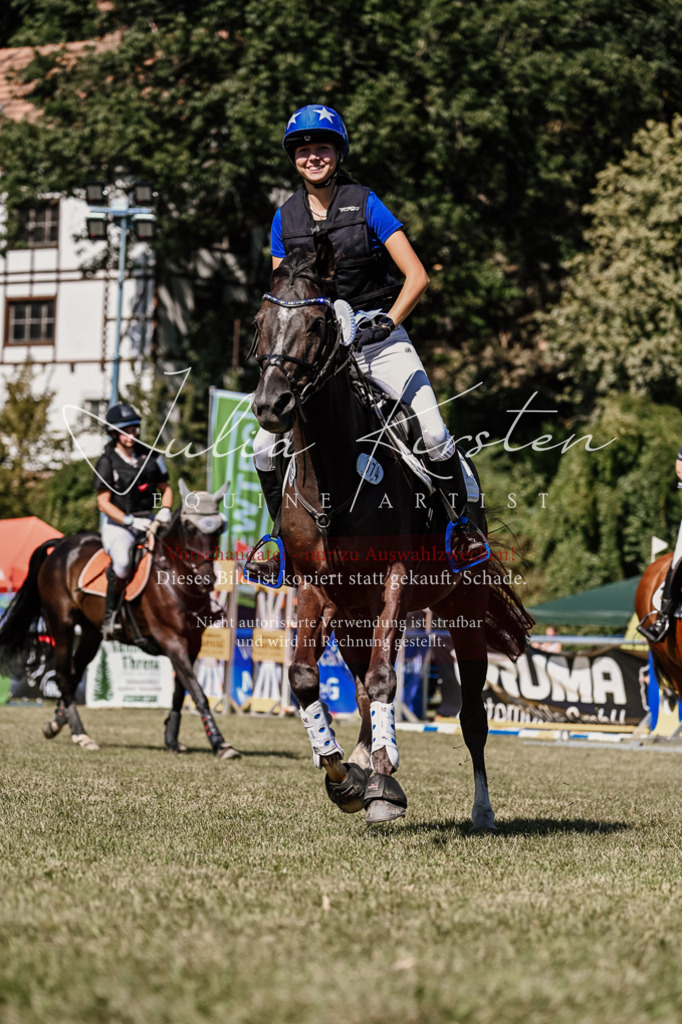 DSC_2601 | Pferde- und Turnierfotografie in Westsachsen. Pferdeportraits, Auftragszeichnungen und intuitive Kunst.