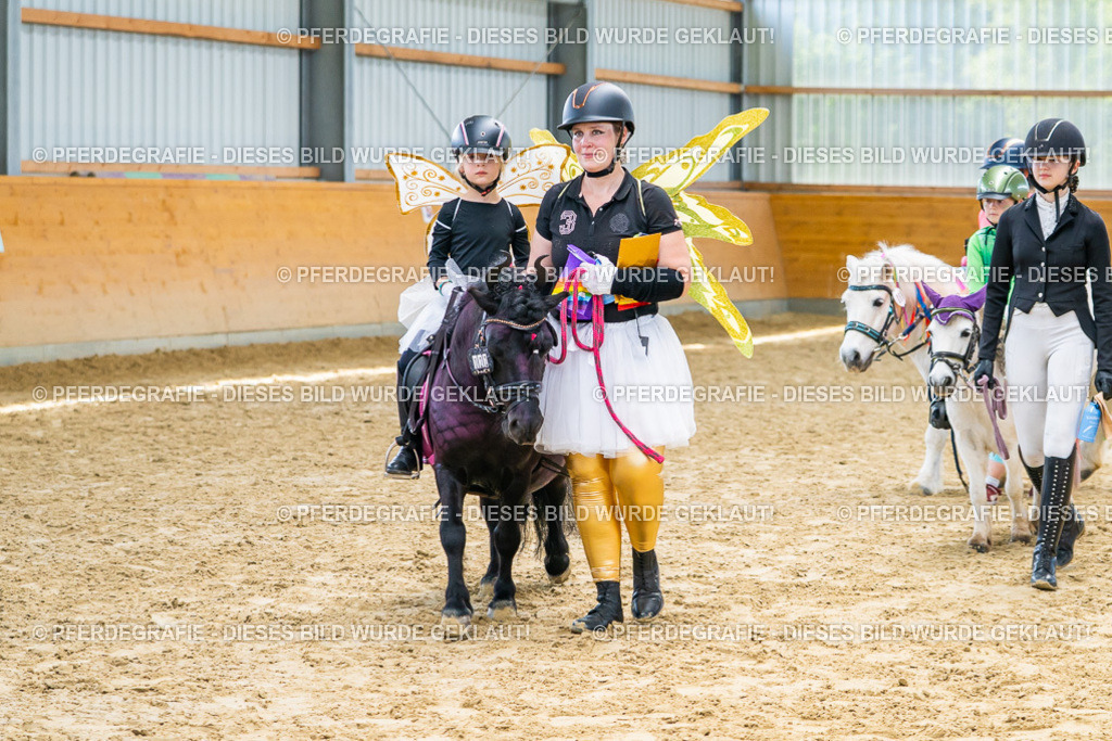 DSC00338 | Pferdegrafie