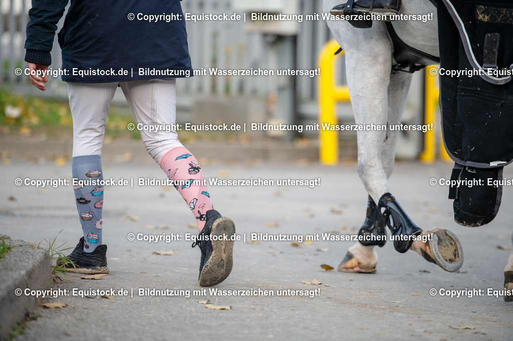 20251112_Impressionen_TOMSPIC_0018 | Foto: Thomas Hartig