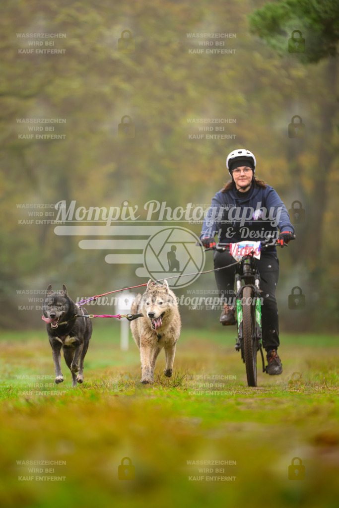 MompixPhotography_Bischwiller2025_Bike-151 | mompixphotography