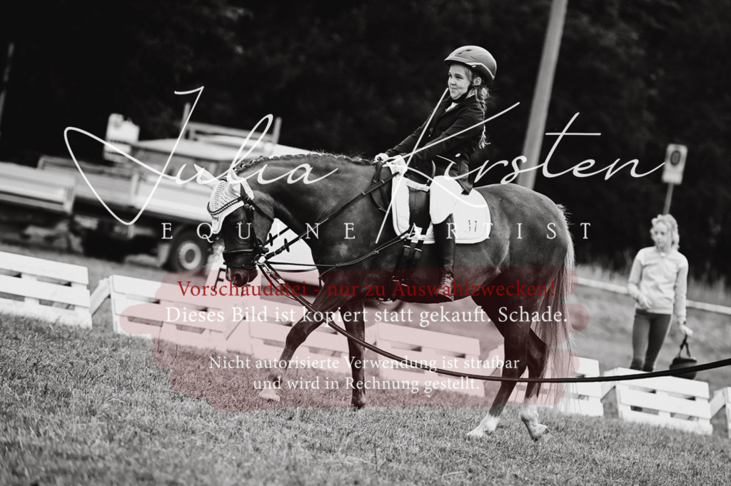 DSC_5215 | Pferde- und Turnierfotografie in Westsachsen. Pferdeportraits, Auftragszeichnungen und intuitive Kunst.
