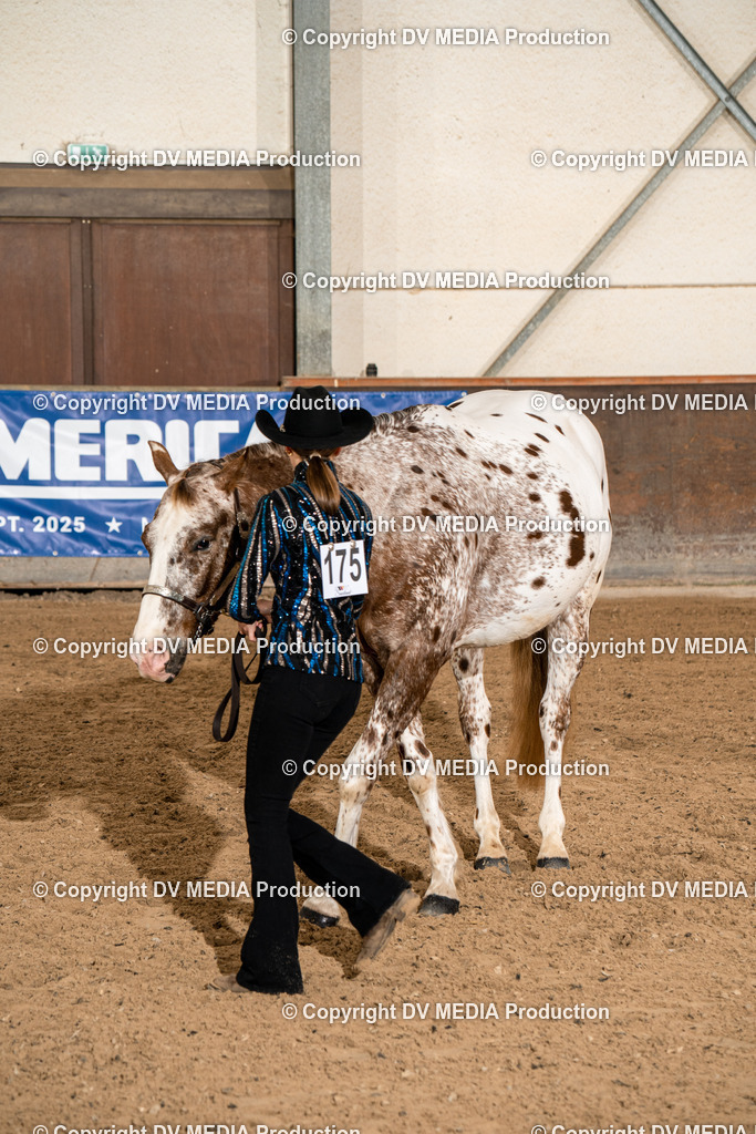 Heiligenwald Tag 1-127 | dv-media-shop - Realisiert mit Pictrs.com