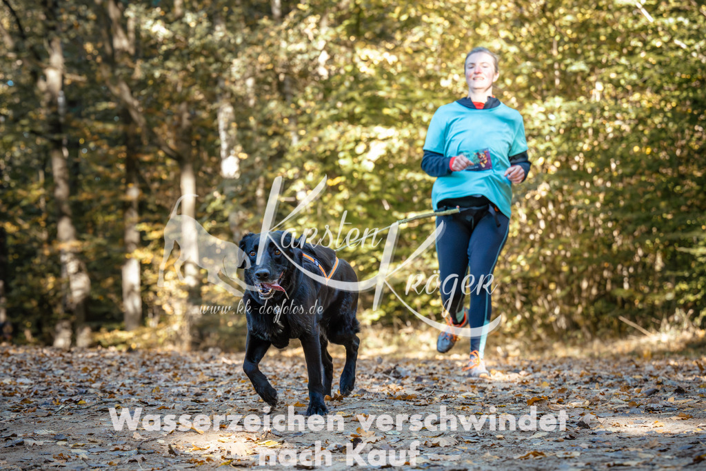 1106_ZZ91625 | kk-dogfotos