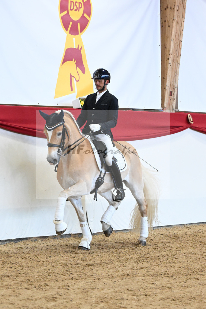 Schauprogramm Haflinger_DSP Amiro_2251537 | hf-fotografie - Realisiert mit Pictrs.com