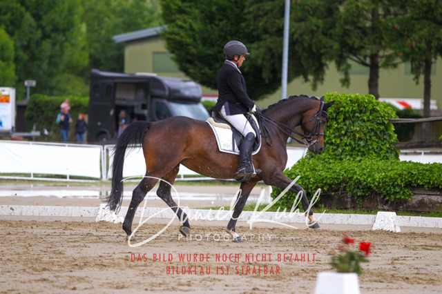 DKP40796 | Turniersportfotografie; Pferdefotografie; Dressurfotografie