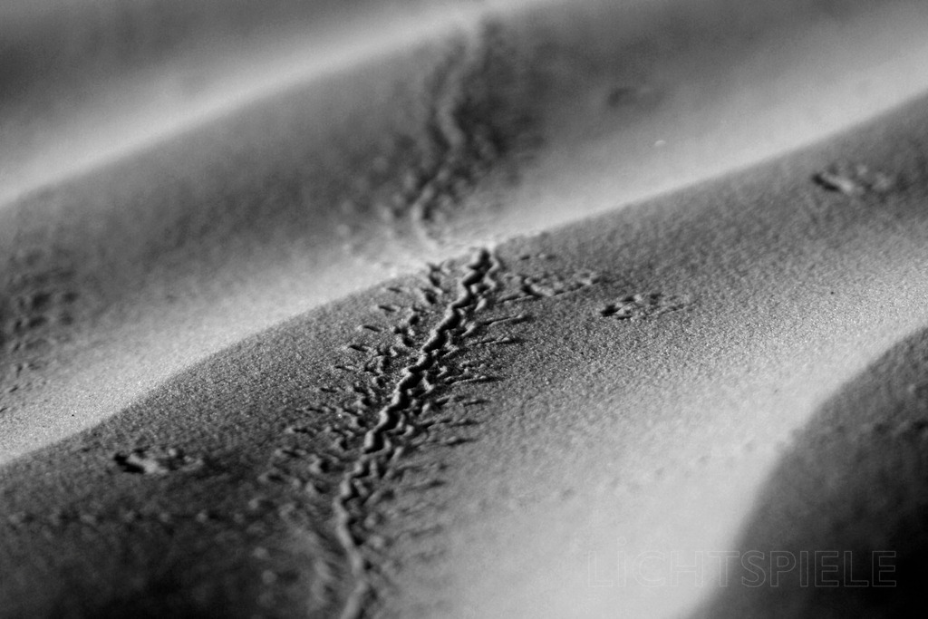 Spur | Tierspur im Wüstensand - Realisiert mit Pictrs.com