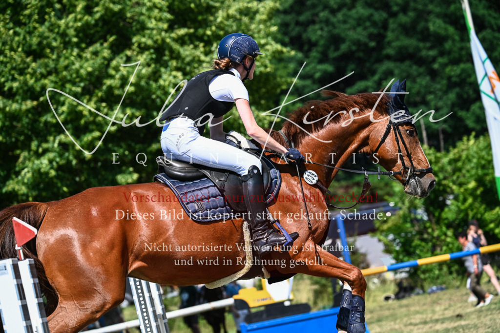 DSC_1173 | Pferde- und Turnierfotografie in Westsachsen. Pferdeportraits, Auftragszeichnungen und intuitive Kunst.