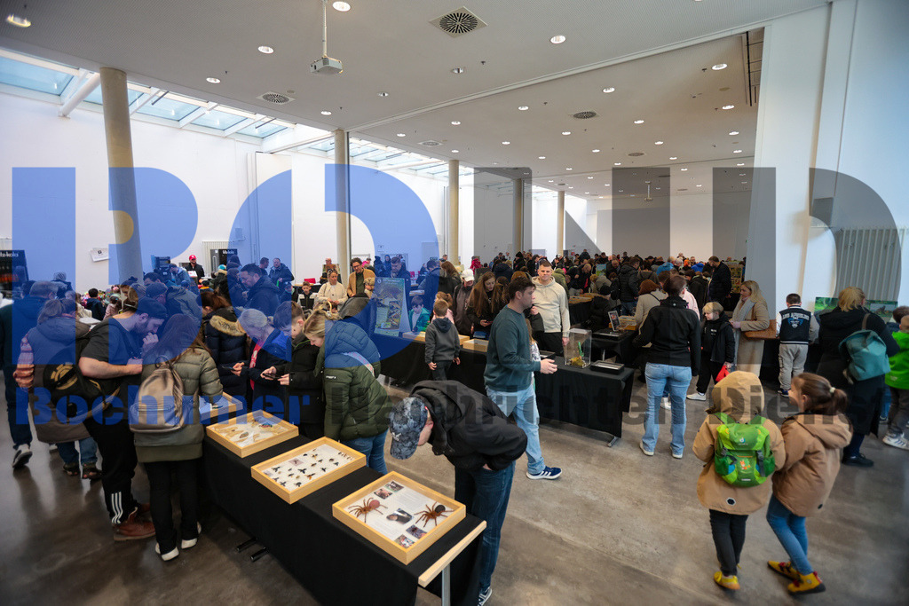 SES_INSBOC20250316-22 | bond - Realisiert mit Pictrs.com