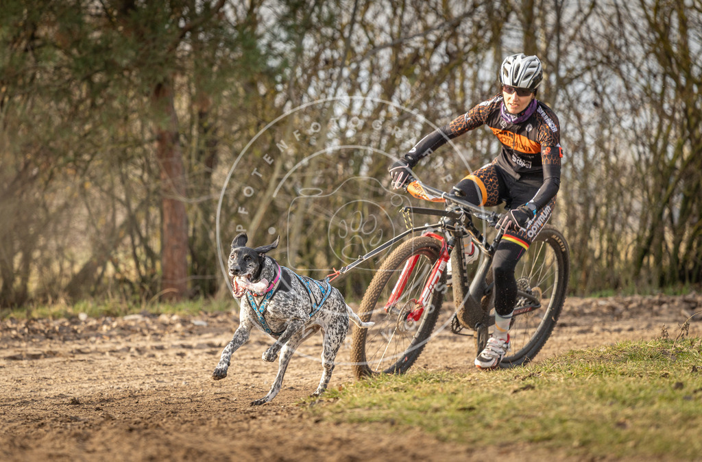 Pfotenfotografie_DV3A7470 | Hundefotografie, Tierfotograf, Pfotenfotografie, Fotoshooting Hund, Hunde Portrait, Hundesport, Hundeportraits, Heideshooting, Hunde, Sportfotograf, Hundefotograf, Turnierhundsport, THS,  - Realisiert mit Pictrs.com