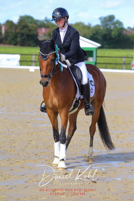 DKP43947 | Turniersportfotografie; Pferdefotografie; Dressurfotografie