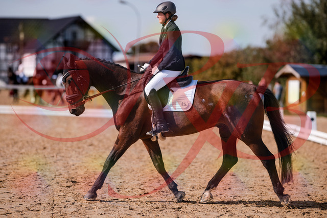 2026_10_03_Siefer-Hof_130211_Z81_55267667 | Professionelle Reitsport-, Turnier- und Eventfotografie von Robert Broda. Galerien mit ausgewählten und bearbeiteten Bildern direkt online ansehen und bestellen.
