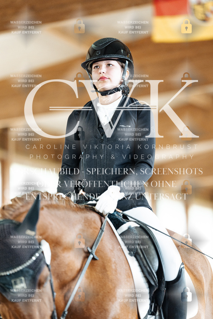 CK900664 | Turnierfotografie Pferdefotografie Trier Rheinland-Pfalz Pferdesport Reitsport Tierfotografie Sportfotografie Pferdevideo Pferdevideografie Equestrianvideography equestrianphotography  - Realisiert mit Pictrs.com
