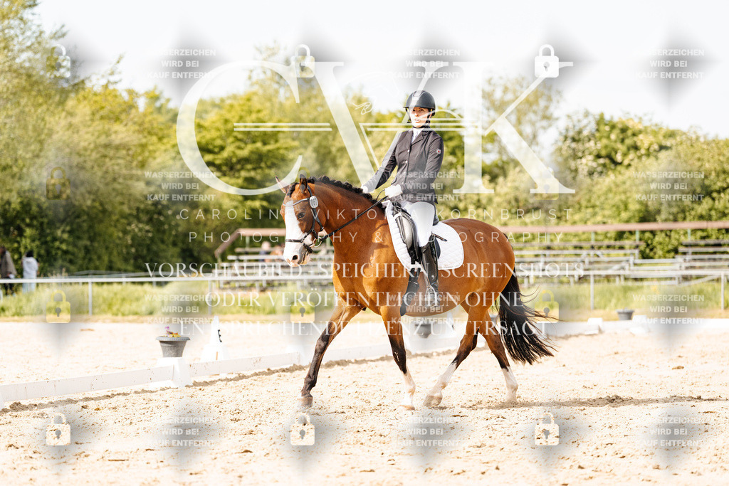CK900551 | Turnierfotografie Pferdefotografie Trier Rheinland-Pfalz Pferdesport Reitsport Tierfotografie Sportfotografie Pferdevideo Pferdevideografie Equestrianvideography equestrianphotography  - Realisiert mit Pictrs.com