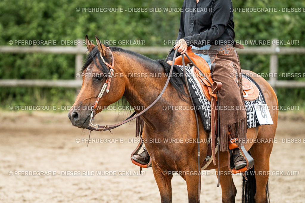 DSC04571 | Pferdegrafie