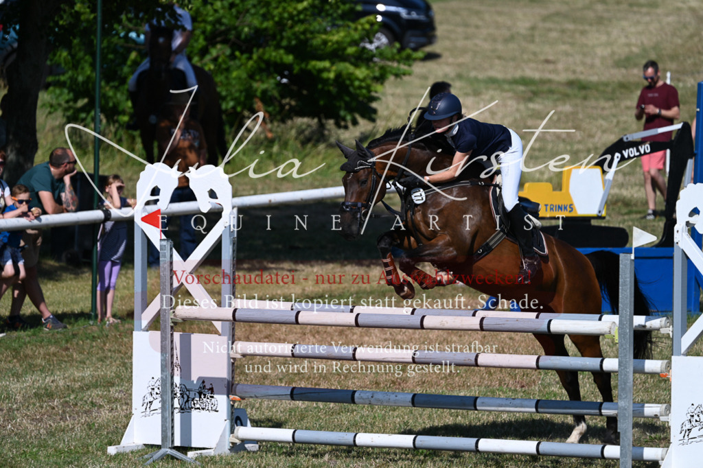 DSC_2137 | Pferde- und Turnierfotografie in Westsachsen. Pferdeportraits, Auftragszeichnungen und intuitive Kunst.