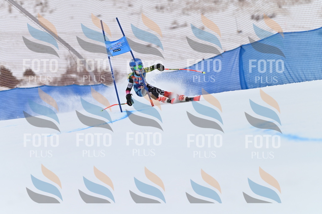 BGV_0930 | holidayphoto