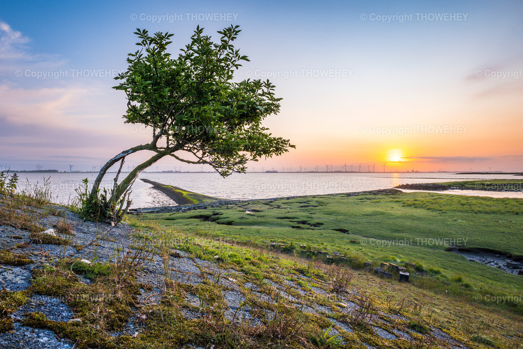 _1037336 | thowehey - Realisiert mit Pictrs.com