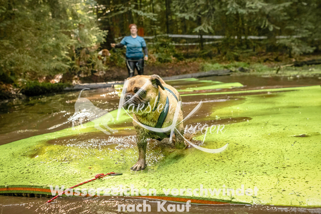 1413_ZZ91649-Bearbeitet | kk-dogfotos