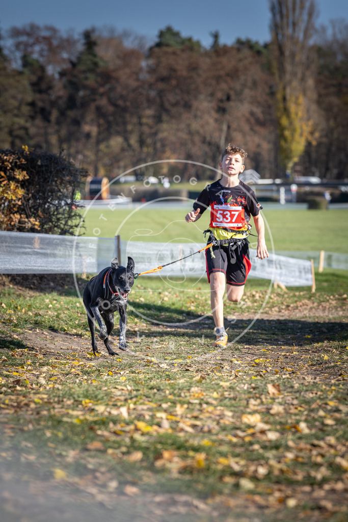 CaniXpix_DV3A8319 | Hundefotografie, Tierfotograf, Pfotenfotografie, Fotoshooting Hund, Hunde Portrait, Hundesport, Hundeportraits, Heideshooting, Hunde, Sportfotograf, Hundefotograf, Turnierhundsport, THS,  - Realisiert mit Pictrs.com