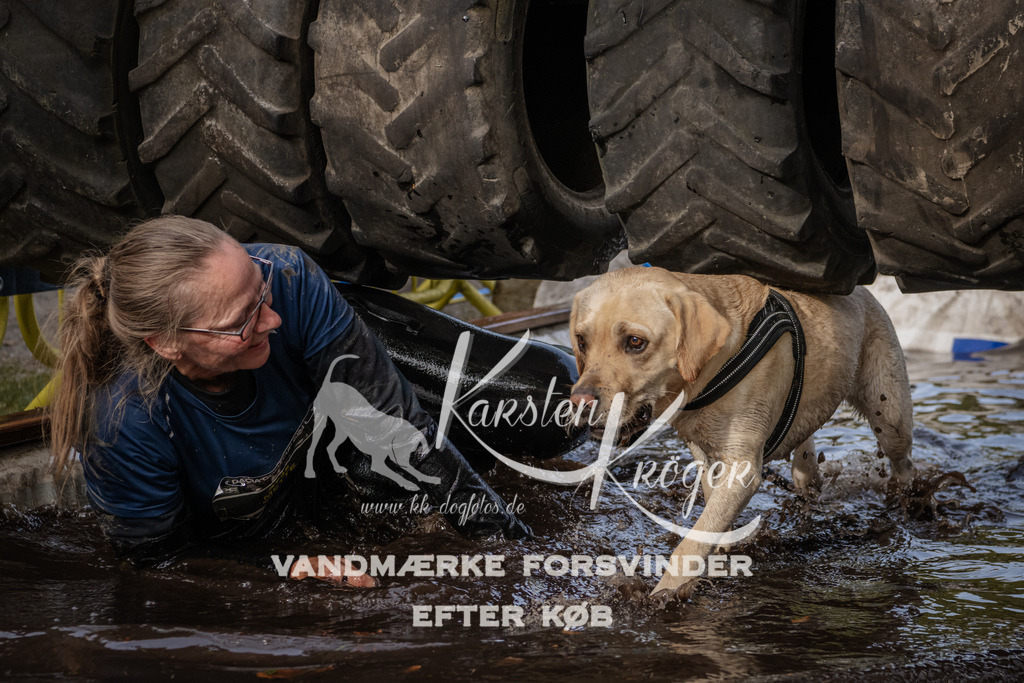 1430_ZZ94578 | kk-dogfotos