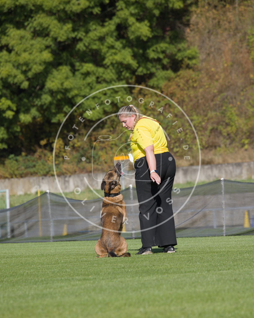 0L8A2319 | Hundefotografie, Tierfotograf, Pfotenfotografie, Fotoshooting Hund, Hunde Portrait, Hundesport, Hundeportraits, Heideshooting, Hunde, Sportfotograf, Hundefotograf, Turnierhundsport, THS,  - Realisiert mit Pictrs.com