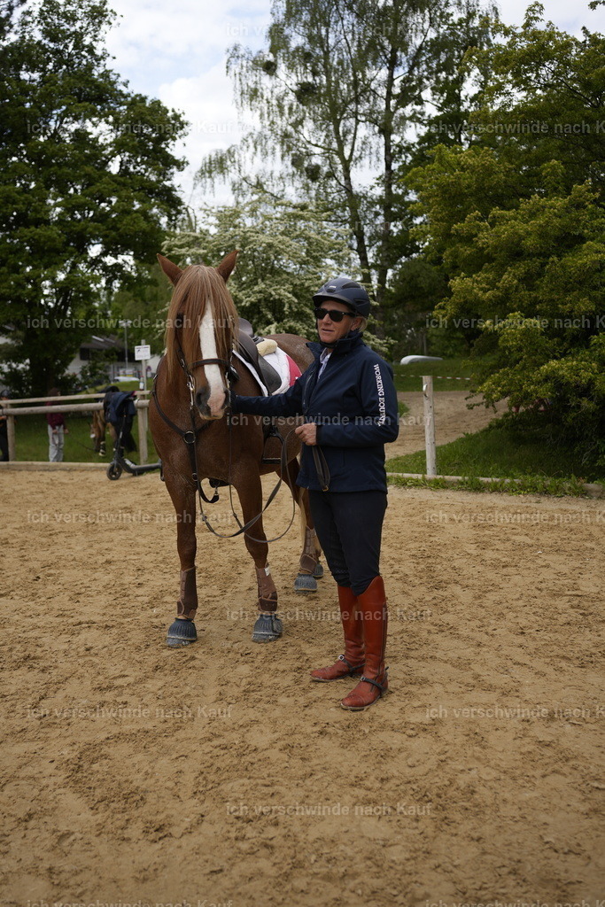 PI26_BTS_COW_Stoibphotography_A749724.JPG | working equitationturnier fotograf videograf stoibphotography marixx film working equitation deutschland reitsport turnierfotografie eventfotografie equestrian events