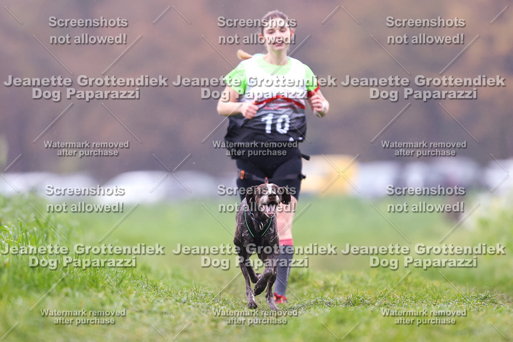 Dog Paparazzi - Visbeck 25 -830 | Dog Paparazzi Jeanette Grottendiek Fotografie & Videografie - Realisiert mit Pictrs.com