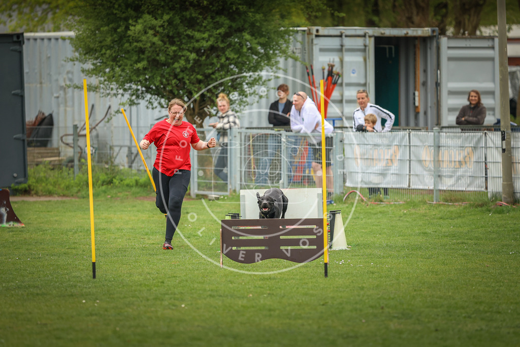 Pfotenfotografie_0L8A1825 | Hundefotografie, Tierfotograf, Pfotenfotografie, Fotoshooting Hund, Hunde Portrait, Hundesport, Hundeportraits, Heideshooting, Hunde, Sportfotograf, Hundefotograf, Turnierhundsport, THS,  - Realisiert mit Pictrs.com