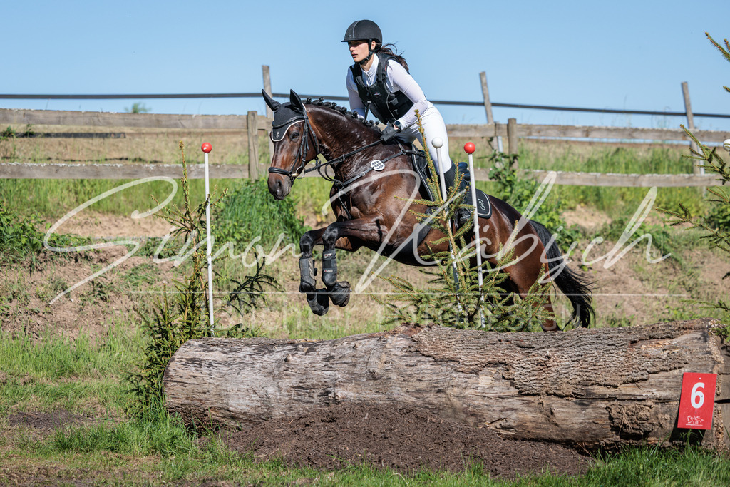 20260523-_3LI6395 | Tierfotografie Pferde, Hunde, Katzen, Haustiere.
Turnierfotografie Reitturniere, Reiten, Springreiten, Dressur in Hanau, dem Main-Kinzig-Kreis und dem Rhein-Main- Gebiet um Frankfurt