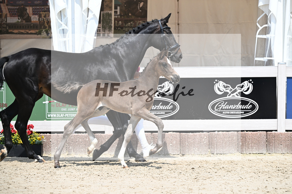 Seattle x Finest_HF_Geiger_12250750 | hf-fotografie - Realisiert mit Pictrs.com