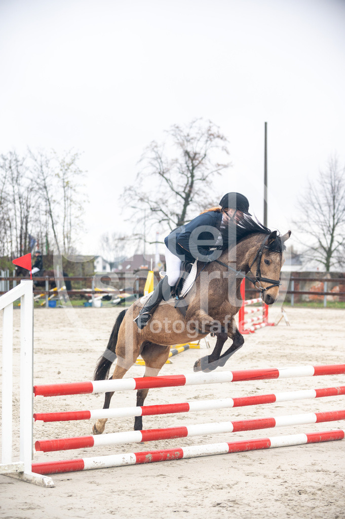 DSC_8800 | sattelsport - Realisiert mit Pictrs.com