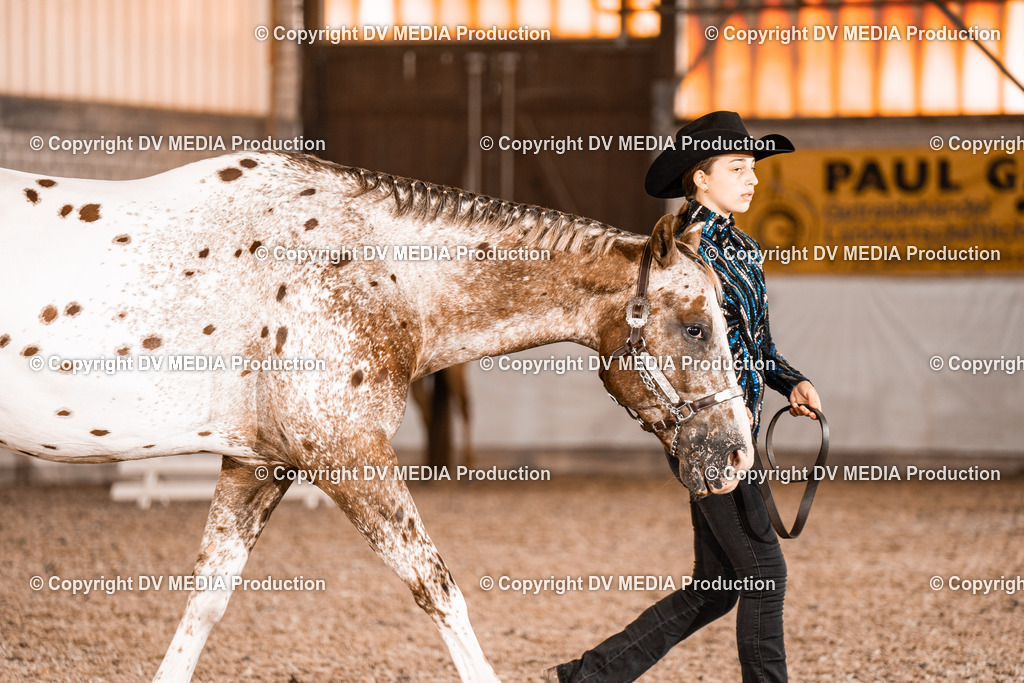 ZH200091 | dv-media-shop - Realisiert mit Pictrs.com