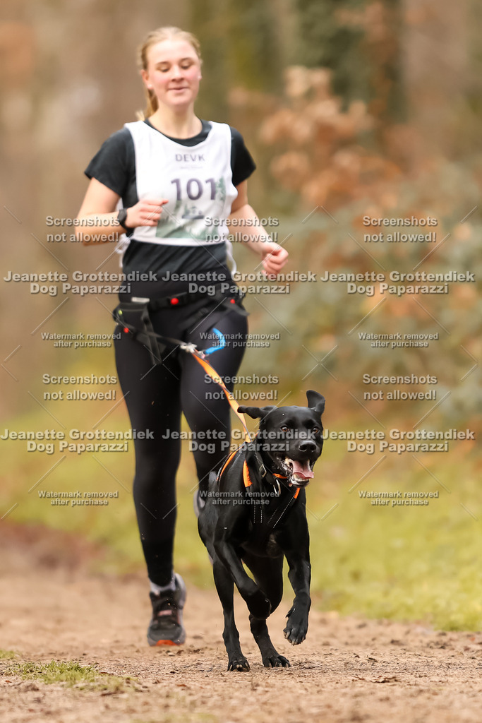 Dog Paparazzi - Speedhunter Mannheim  2025-282 | Dog Paparazzi Jeanette Grottendiek Fotografie & Videografie