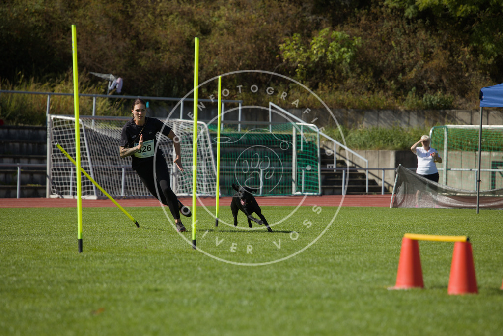 0L8A7893 | Hundefotografie, Tierfotograf, Pfotenfotografie, Fotoshooting Hund, Hunde Portrait, Hundesport, Hundeportraits, Heideshooting, Hunde, Sportfotograf, Hundefotograf, Turnierhundsport, THS,  - Realisiert mit Pictrs.com