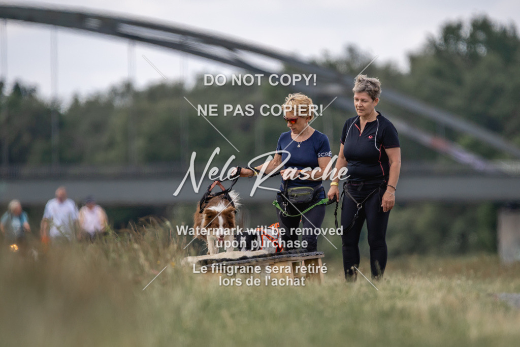 nelerasche_BuHu2026_SaCC1100-1200_145 | nelerasche