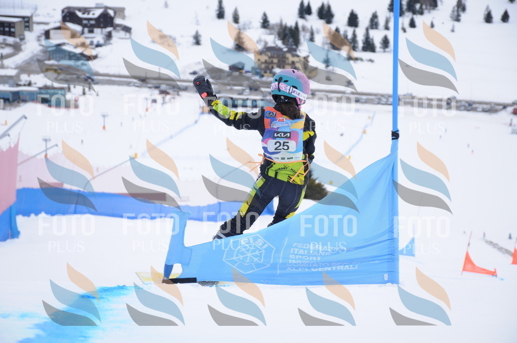 DSC_9875 | holidayphoto