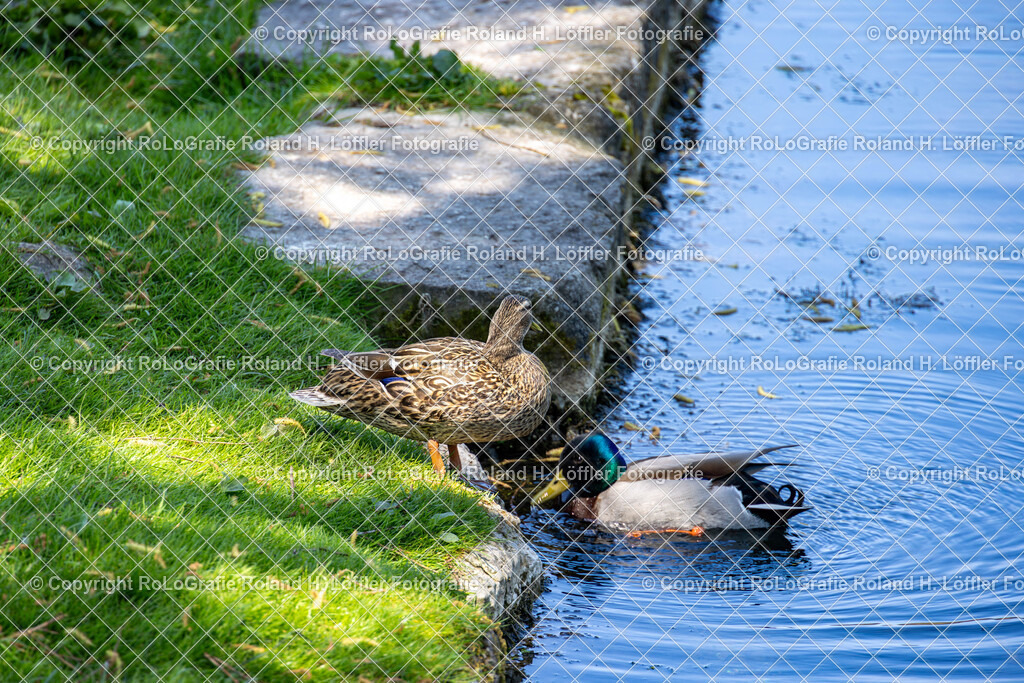 Im-Donautal-04 | IPTC Infos - Realisiert mit Pictrs.com