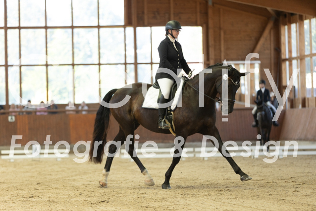 IMG_9637 | Creatify Fotografie